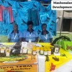 MASHONALAND EAST DEVELOPMENT PULSE